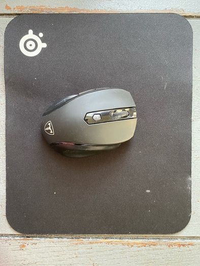 mouse