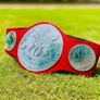 wrestling belt Image 2