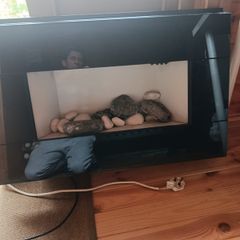 electric fireplace