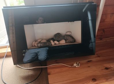 electric fireplace