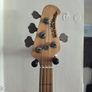 Musicman Sterling USA 2001 Image 5