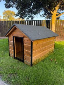 Dog House