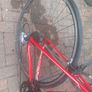 Medium Red Specialized Allez Road Bike Image 6