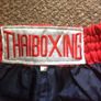 Muay Thai Boxing Image 4