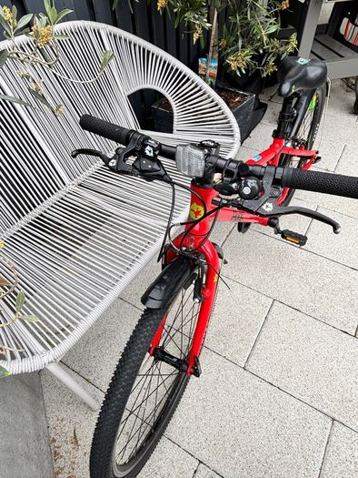Frog Bike