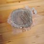 new ultrasonic cleaner Image 8