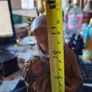 Beautiful Old Large Statue St. Anthony of Padua Holding the Child Jesus. St. Anthony is recognized as the Patron Saint of Lost Things and Desperate Situations, Similar figurines are crafted in Italy or the Valgardena region, Postage Available or collectio Image 6