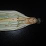 Vintage "Our Lady of Fatima" Statue Image 6