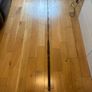 Diawa Kenzaki boat rod Image 2