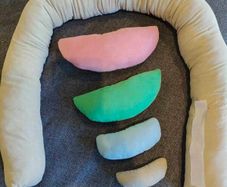 Newborn photoshoot posing pillows