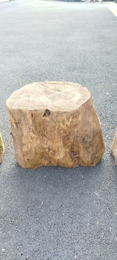 Tree Stumps