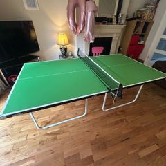 Table Tennis Junior Butterfly Table Tennis Table