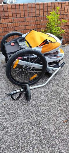 Bike Trailer - Giant Peapod Double