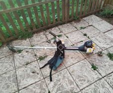 Large petrol strimmer