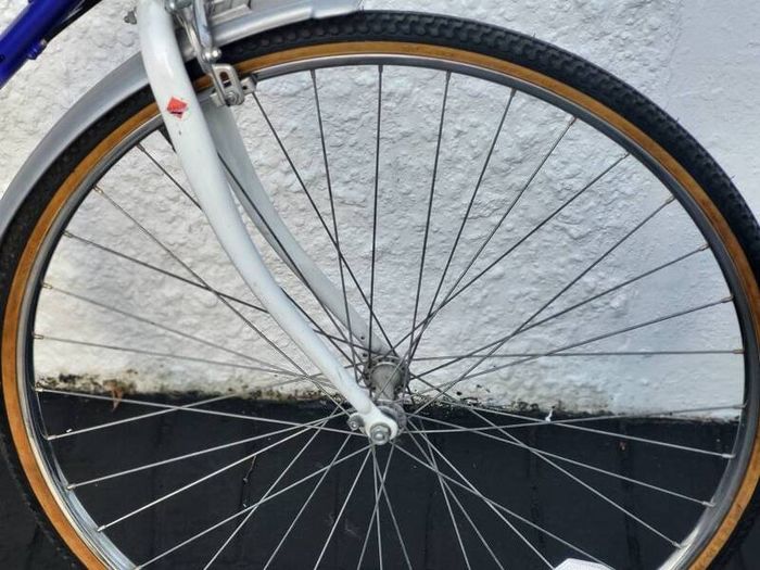 Ladies Raleigh Pioneer Bike In Excellent Condition