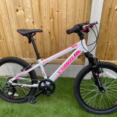 Kids bike - team Gx junior mountain bike