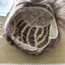 Various Wigs Image 8
