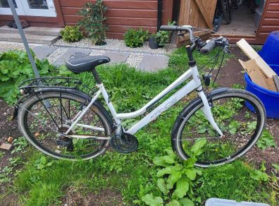 female bike