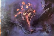 The Moody Blues - On the Threshold of a Dream (First Press Stereo)
