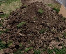 Soil Free