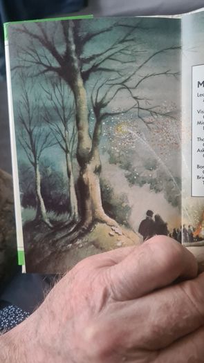 BEAUTIFUL ILLUSTRATED. THE FIRESIDE BOOK. 1995.POEMS OLD AND NEW EACH BEAUTIFULLY illustrated by a full page painting special commission to capture the flavour of the words. Hardback With Dustjacket In Very Good Condition.