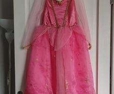 Disney Sleeping beauty costume