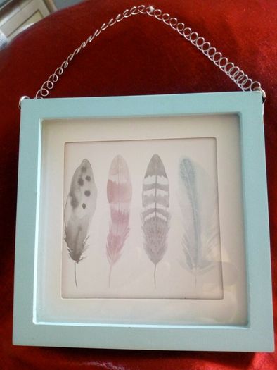 Feather Picture