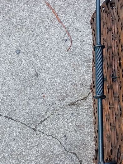 Vintage Basket