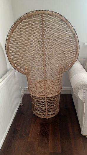 Peacock chair
