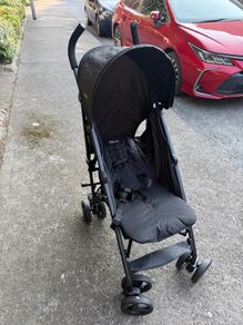 buggy