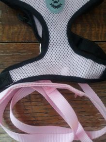 Small Cat/Dog Harness