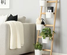 Plant stand