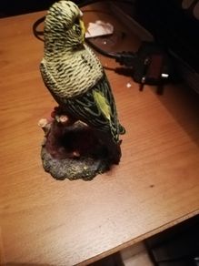ornament