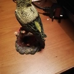 ornament