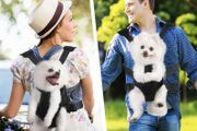 Hands Free Adjustable Dog Backpack Carriers  sizes S, M, L