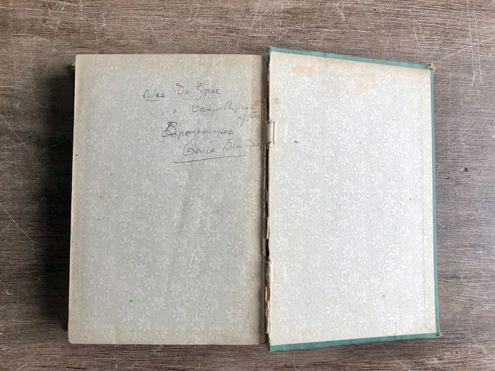 Antique Book The Flight of the Eagle by Standish O'Grady