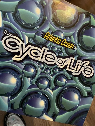 Atlantic Ocean waterfall & Cycle of life 12" vinyl
