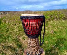 Large Carved Wooden African Djembe Drum with case