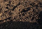 topsoil