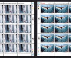 2005 United Nations (New York) Nature's wisdom Commemorative Stamps Sheets Mint Never Hinged (MNH)