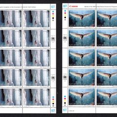2005 United Nations (New York) Nature's wisdom Commemorative Stamps Sheets Mint Never Hinged (MNH)