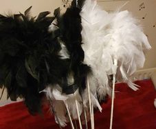 feathers