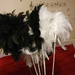 feathers