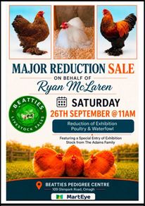 Major Reduction Sale on Behalf of Ryan McLaren