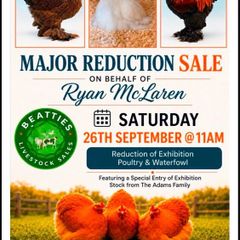 Major Reduction Sale on Behalf of Ryan McLaren