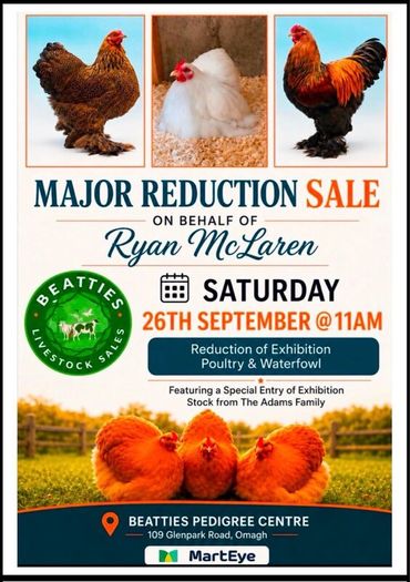 Major Reduction Sale on Behalf of Ryan McLaren