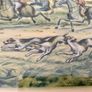 Set of Two Early 20th Century Vintage Framed Fox Hunt Lithographs Image 7