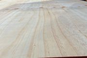 plywood sheets 8 x 4.