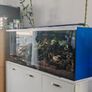 Fish tank and stand Image 4