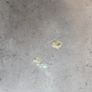 large dining table Image 4